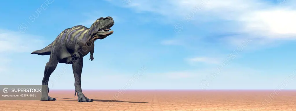 Large Aucasaurus dinosaur standing in the desert by daylight.