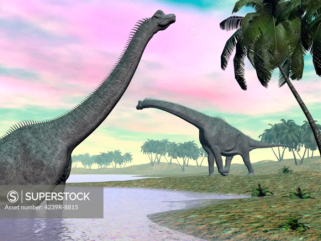 Two Brachiosaurus dinosaurs in landscape with water and palm trees.