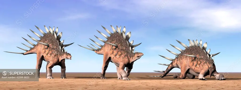 Three Kentrosaurus dinosaurs standing in the desert by daylight.