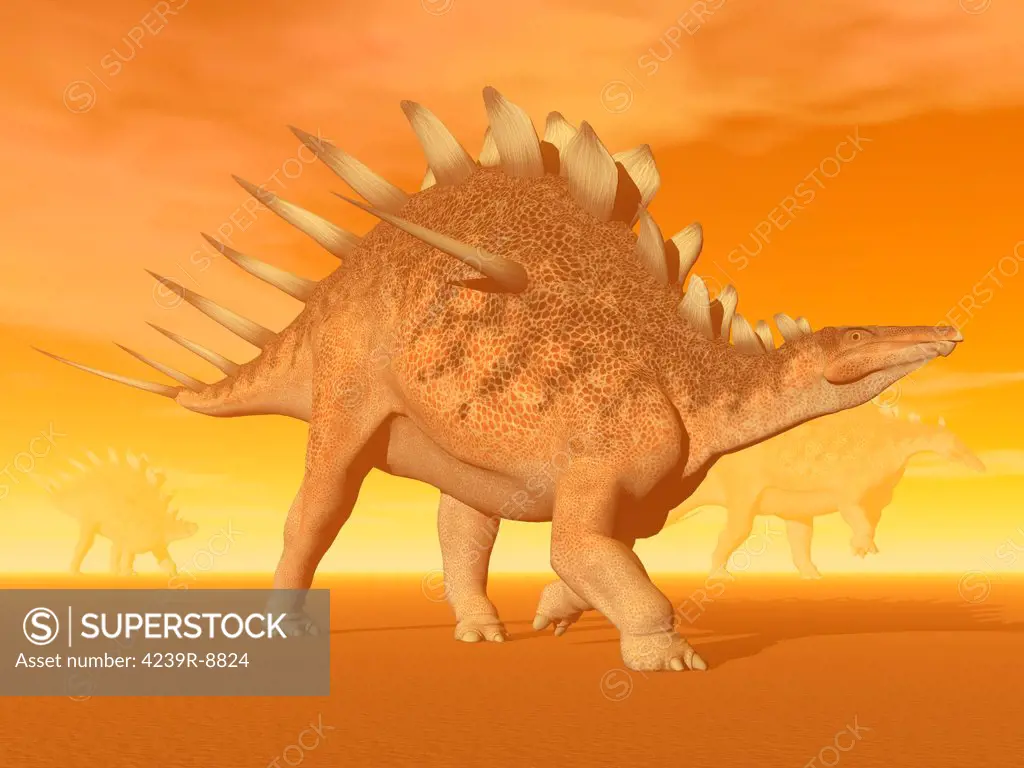 Three Kentrosaurus dinosaurs in the desert with hazy sunset light.