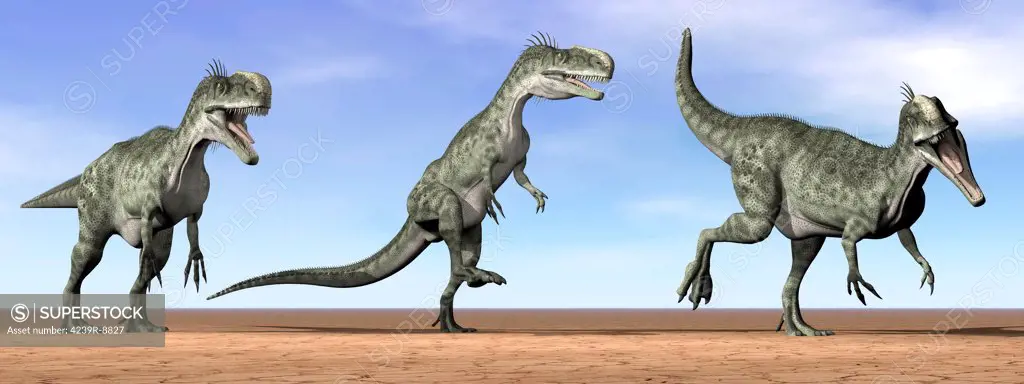 Three Monolophosaurus dinosaurs standing in the desert by daylight.