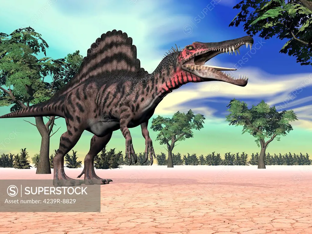 Spinosaurus standing in the desert with trees.