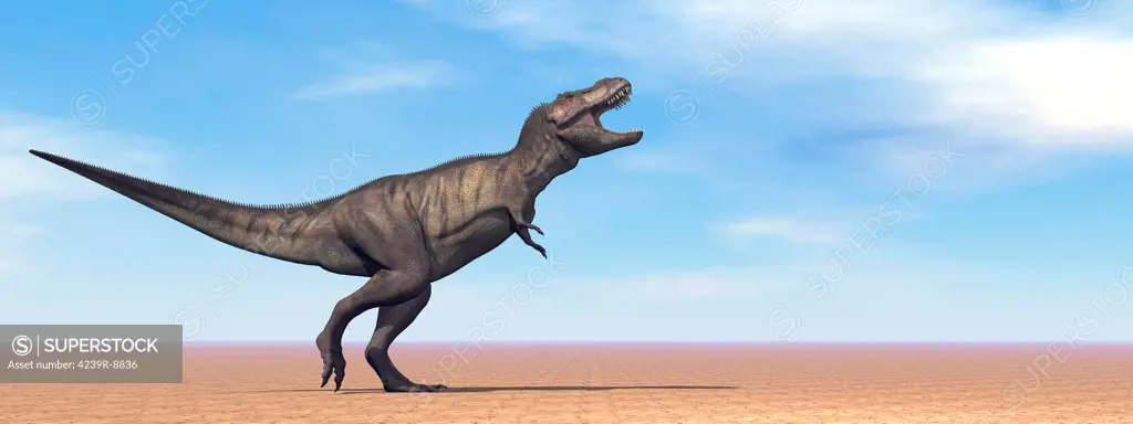 Tyrannosaurus Rex dinosaur standing in the desert by daylight.