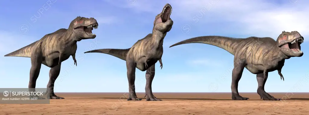 Three Tyrannosaurus Rex dinosaurs standing in the desert by daylight.