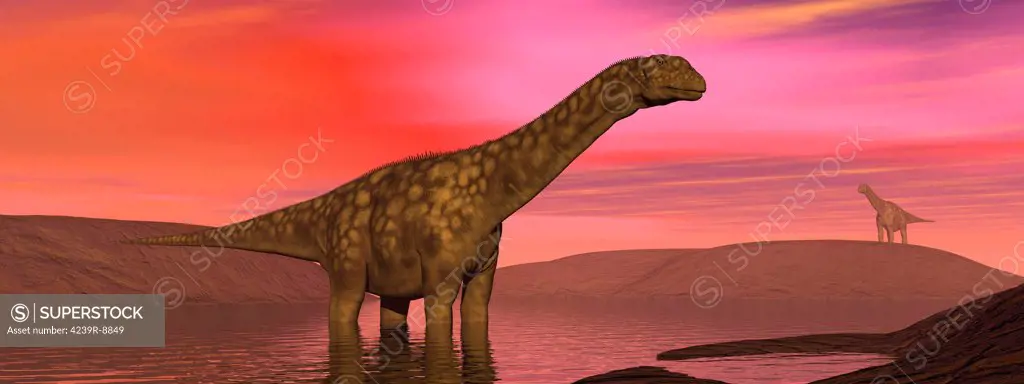 Two Argentinosaurus dinosaurs amongst a colorful red sunset.
