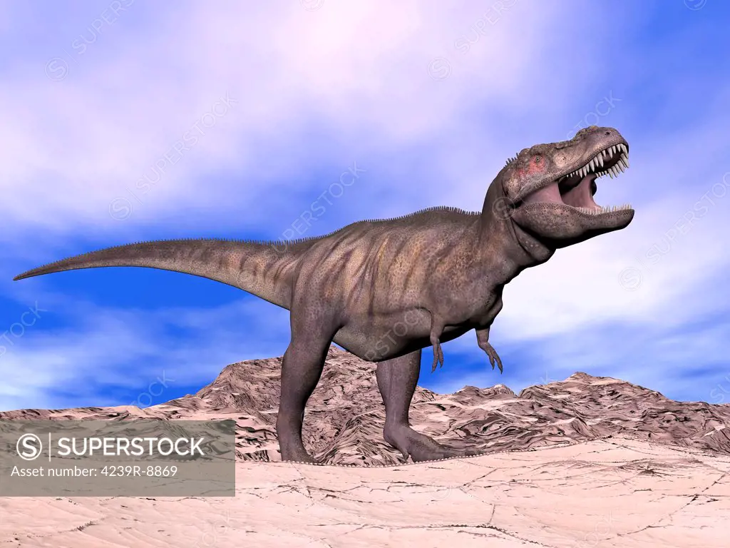 Aggressive Tyrannosaurus Rex dinosaur in the desert with its mouth open showing his teeth.