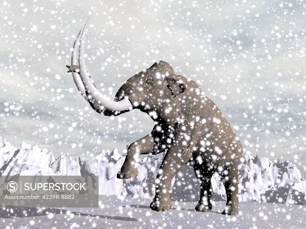 Mammoth walking through a blizzard on mountain.