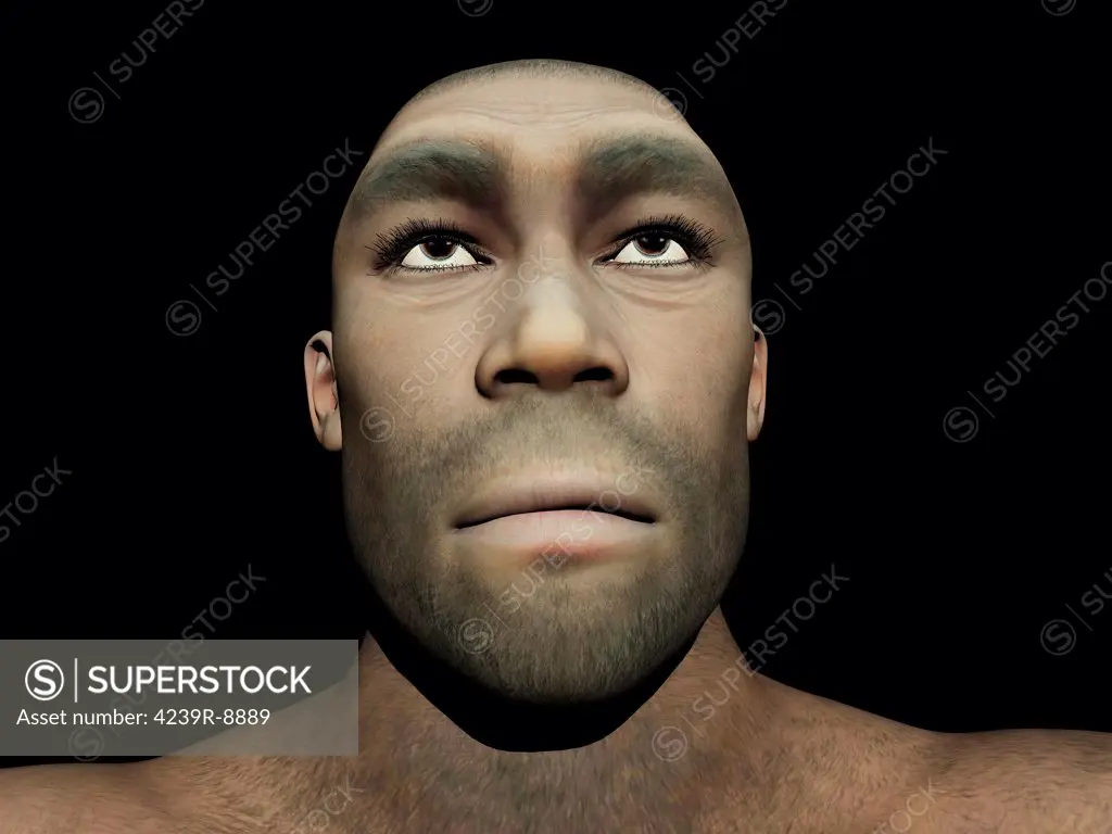 Portrait of a male Homo Erectus, prehistoric ancestor that lived around 1.8 million years ago, black background