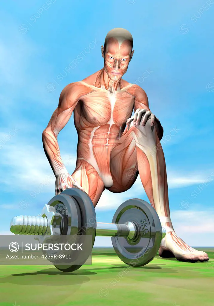 Male musculature looking at a dumbbell on the grass.