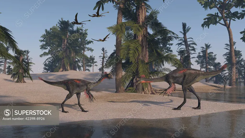 Two Gigantoraptors on the shoreline.