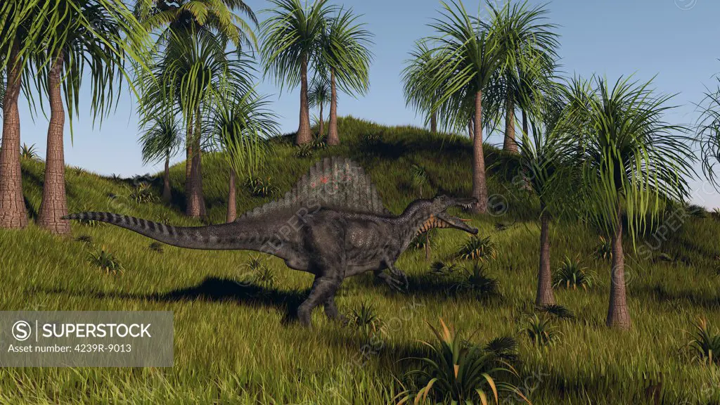 Spinosaurus hunting in an open field.