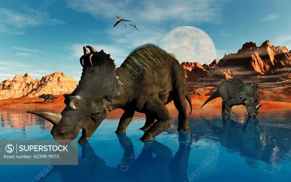 Centrosaurus dinosaurs grazing at a watering place.