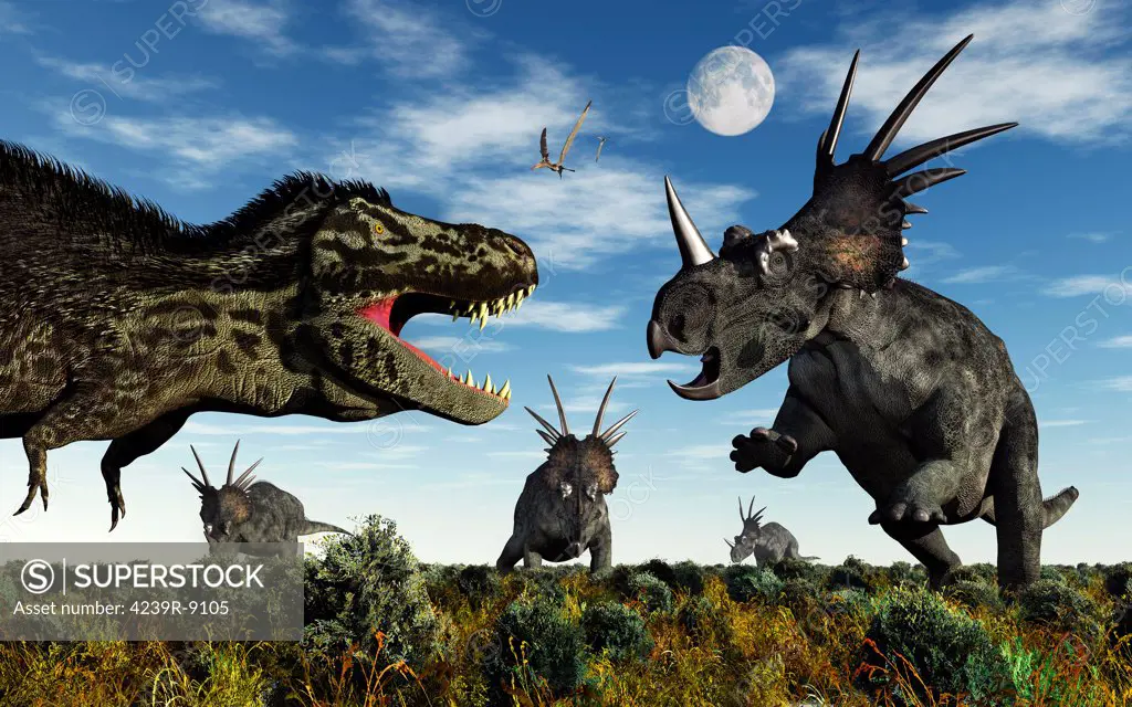 A herd of Styracosaurus dinosaurs confronting a carnivorous Tyrannosaurus Rex during the Cretaceous period.
