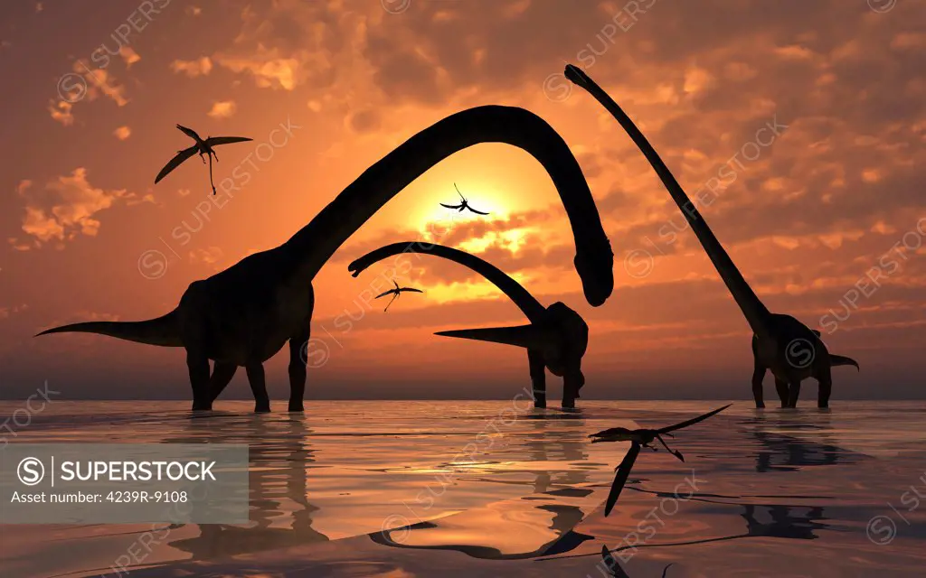 A herd of Omeisaurus sauropod dinosaurs from the Jurassic period.