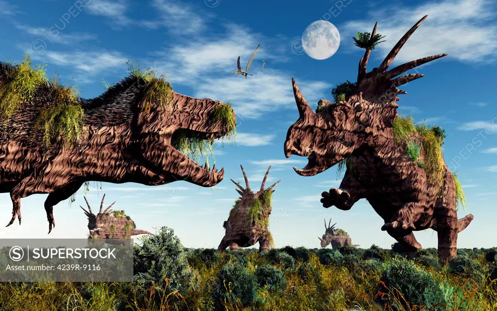 Styracosaurus and Tyrannosaurus Rex dinosaur sculptures.