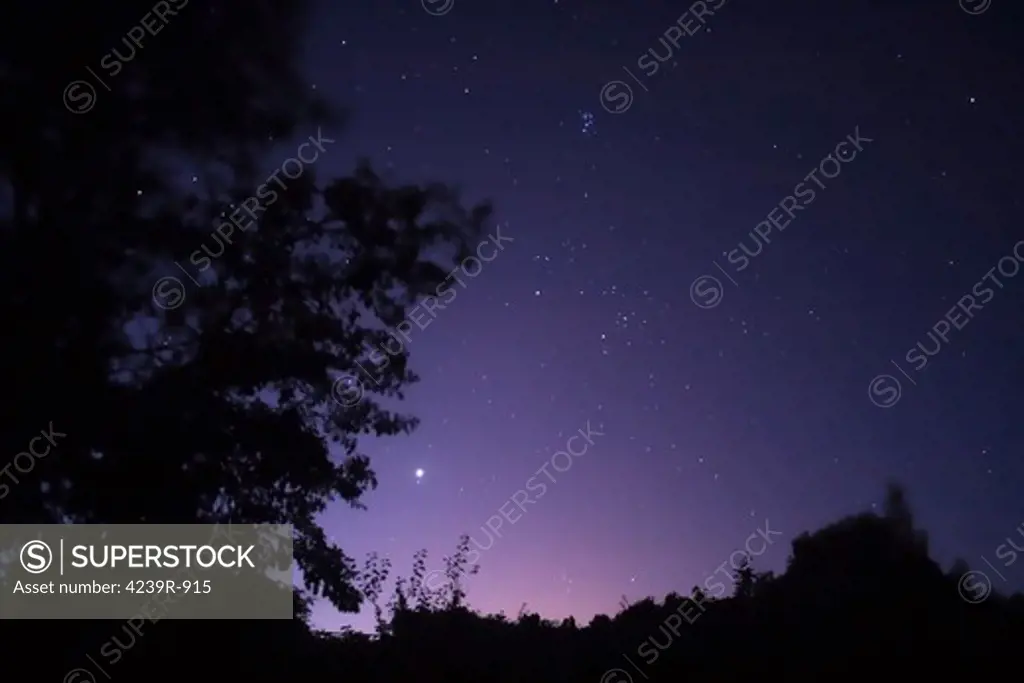 Alentejo, Portugal, 200km East of Lisbon - Viewable in this image are the planet Venus, Mars, Pleiades, as well the constellation of Taurus and at the left, between the trees, the Capela Star