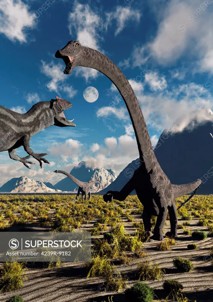 A carnivorous Allosaurus dinosaur confronts a pair of diplodocus sauropod dinosaurs during Earth's Cretaceous period.