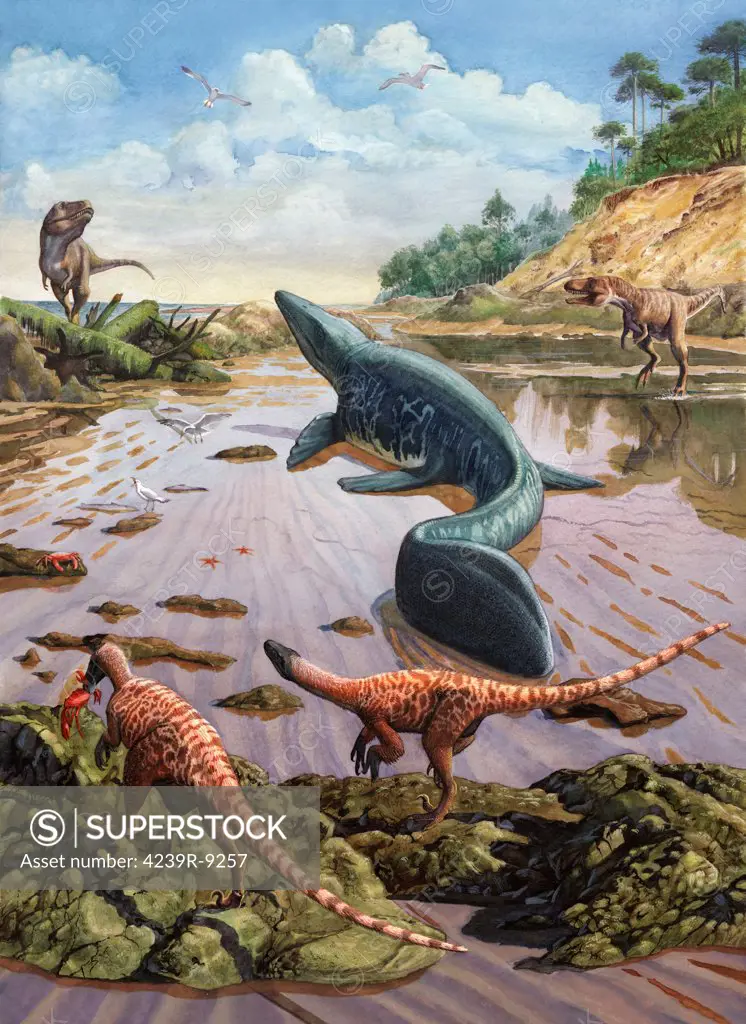 Raptors attack a vulnerable Mosasaurus that remained aground at low tide.