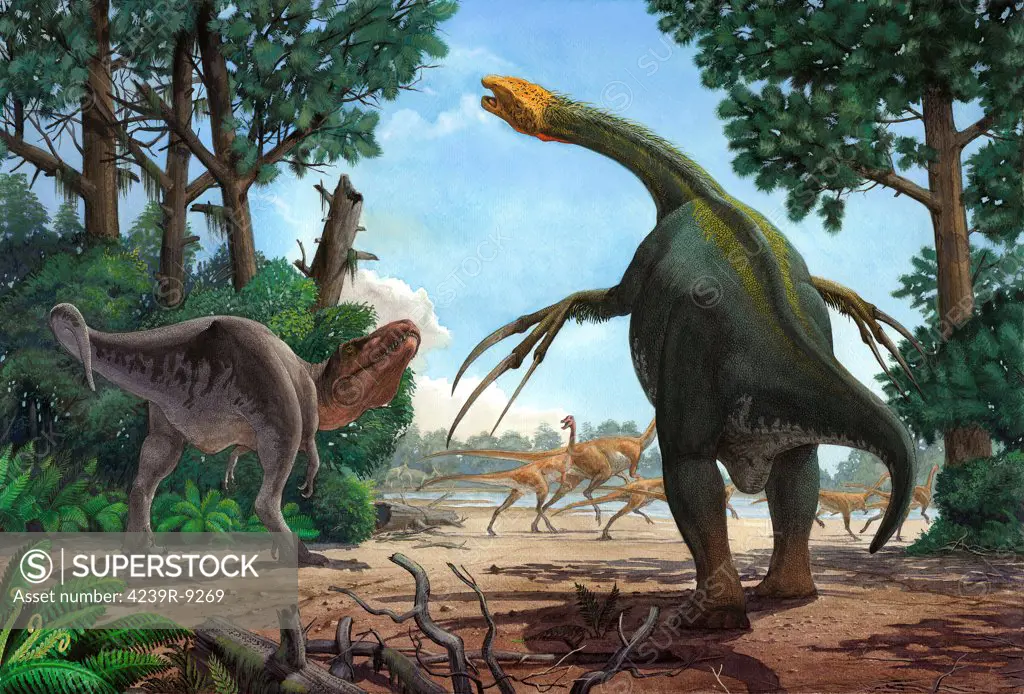 A Therizinosaurus emerges from the undergrowth to prevent a young Tarbosaurus in his hunt for Gallimimus.