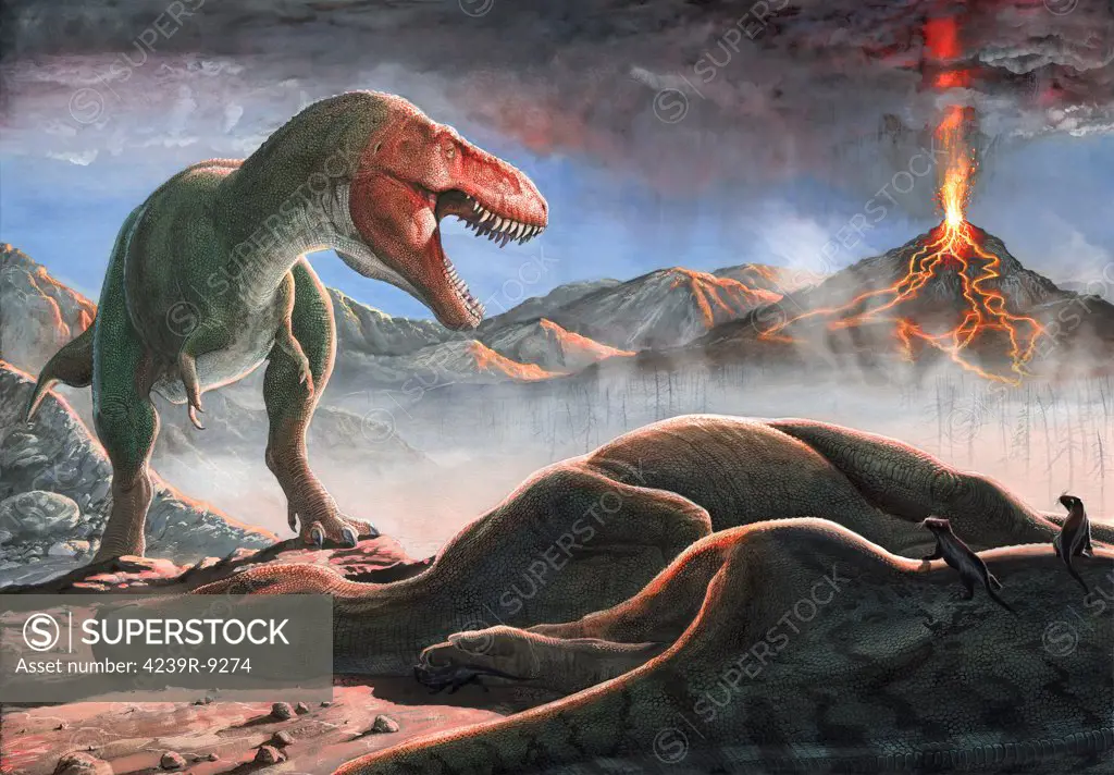 A volcanic eruption destroys the hunting grounds of Tyrannosaurus Rex.