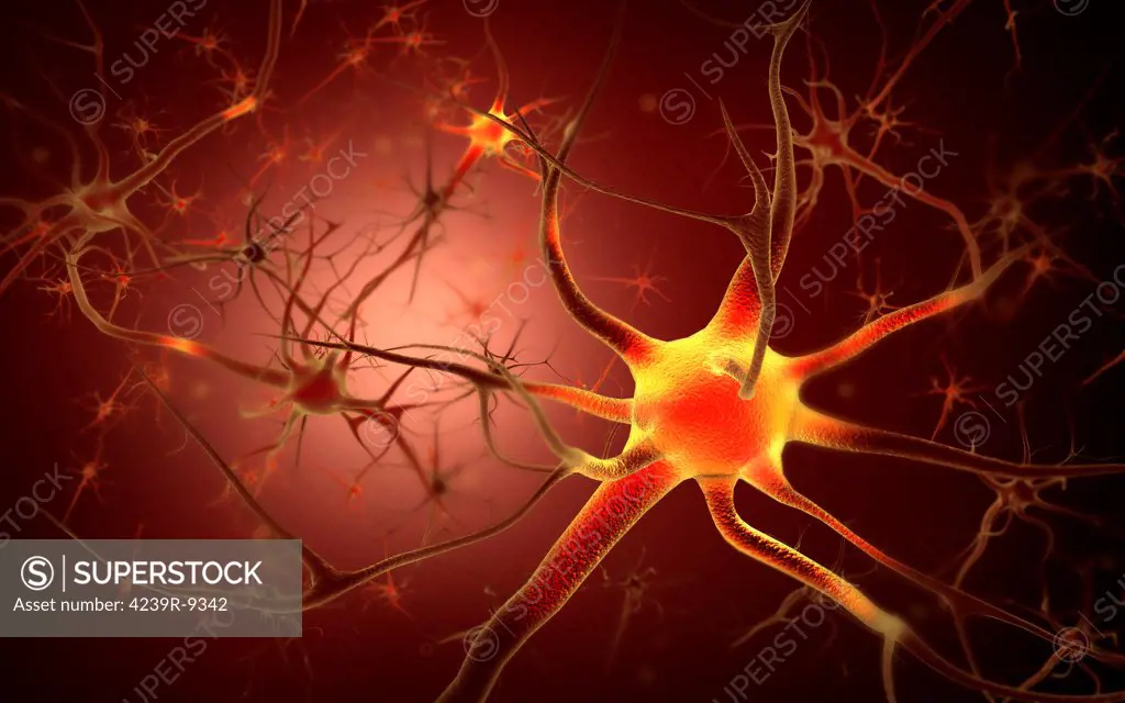 Conceptual image of neuron.