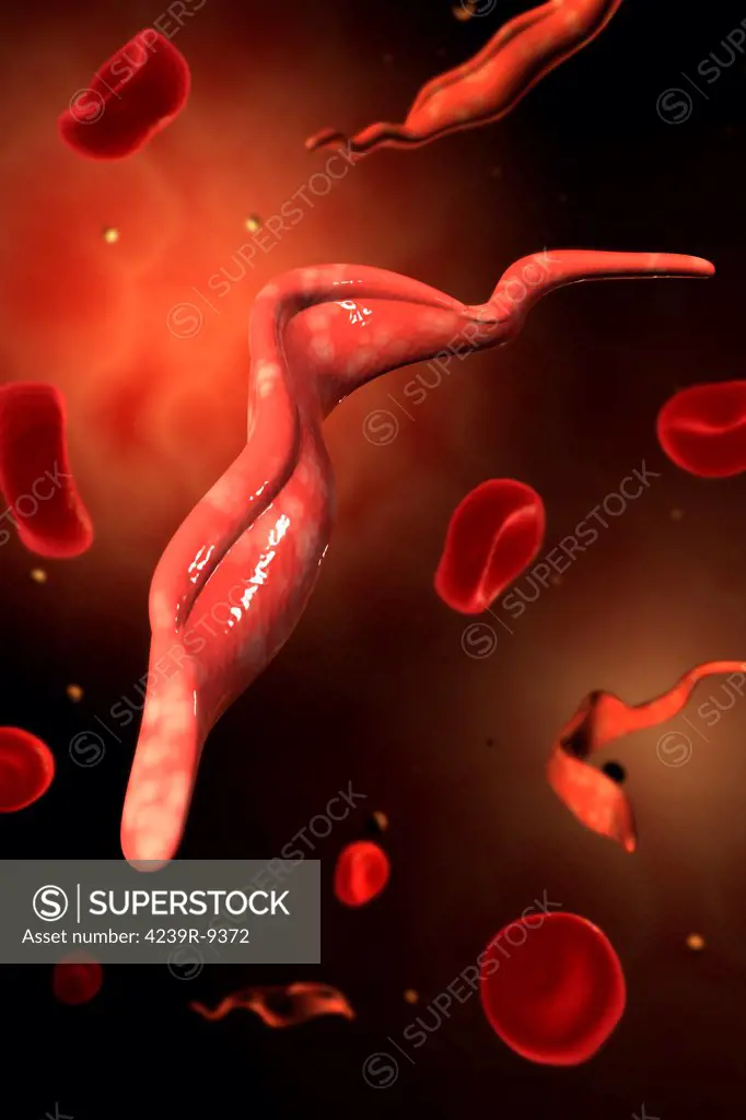 Conceptual image of Trypanosoma.