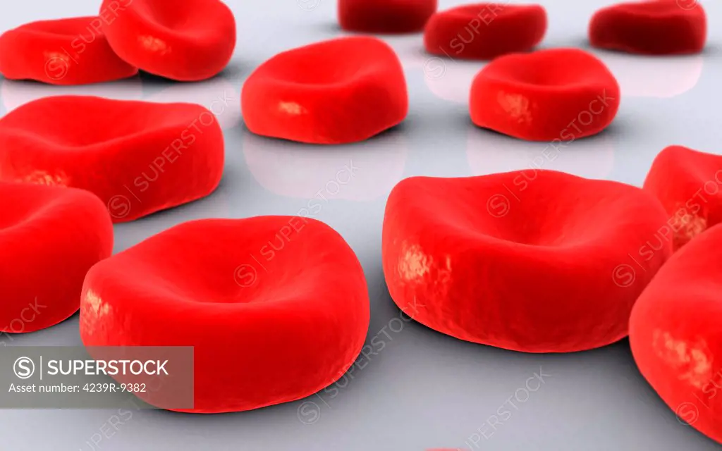 Conceptual image of red blood cells.
