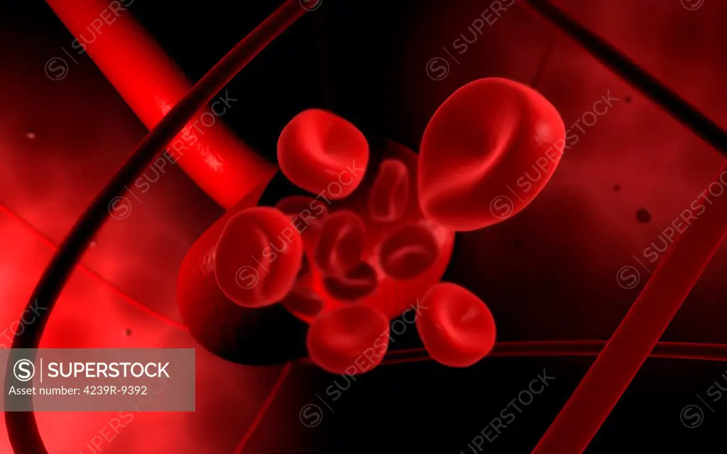 Conceptual image of a blood vessel.