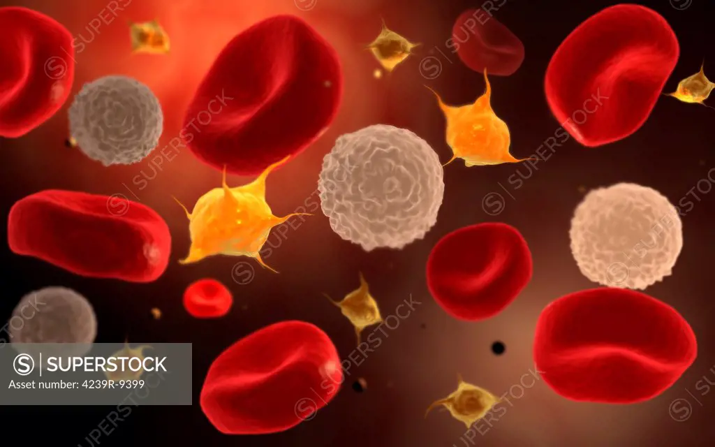 Conceptual image of platelets with white blood cells and red blood cells.
