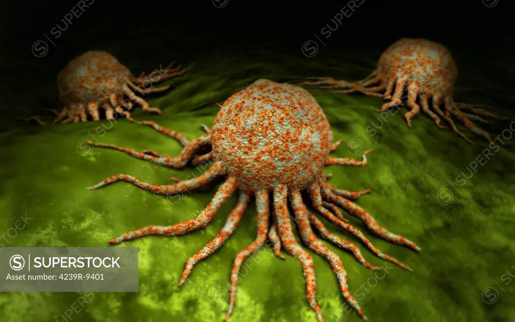 Microscopic view of cancer virus.
