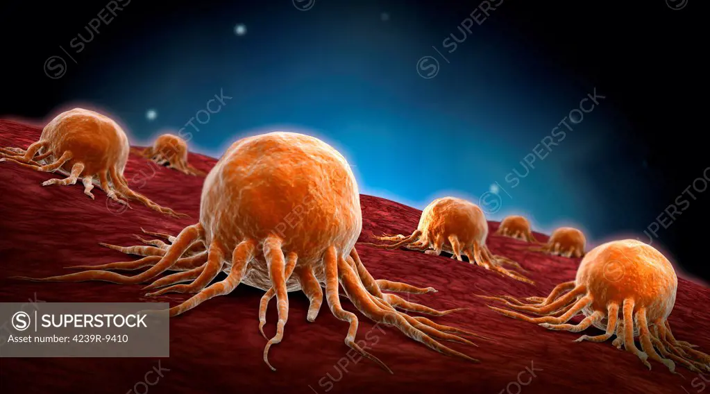 Conceptual image of cancer virus.