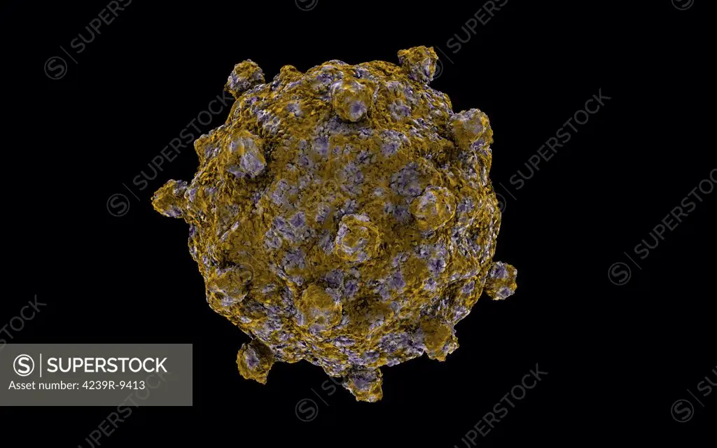 Conceptual image of coxsackievirus.