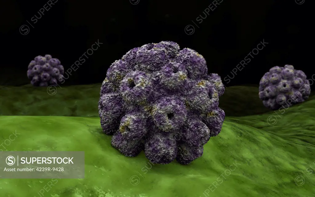 Conceptual image of polyomavirus.