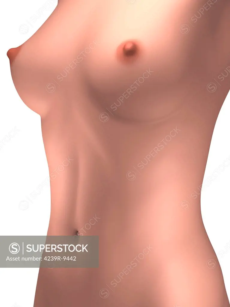 Conceptual image of female torso.