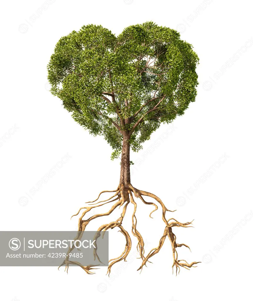 Tree with foliage in the shape of a heart with roots as text Love.