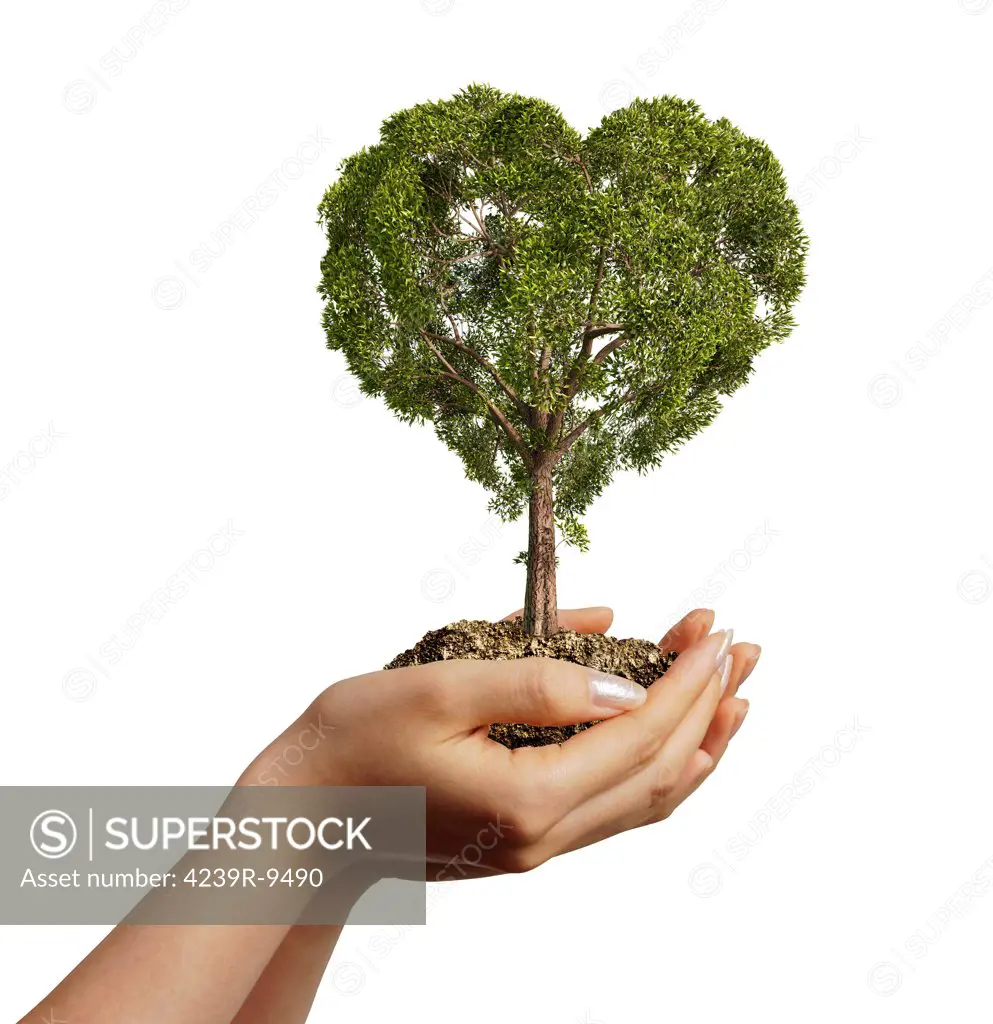 Woman's hands holding soil with a tree heart shaped. Viewed from a side, on white background.