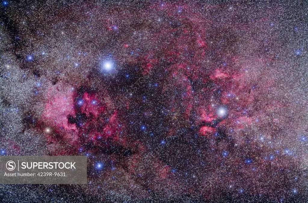 Nebulosity in the heart of Cygnus the Swan, including the North America Nebula and Pelican Nebula at left (NGC 7000 and IC 5070) and Gamma Cygni complex at right (IC 1318). The Crescent Nebula (NGC 6888) is at lower right.