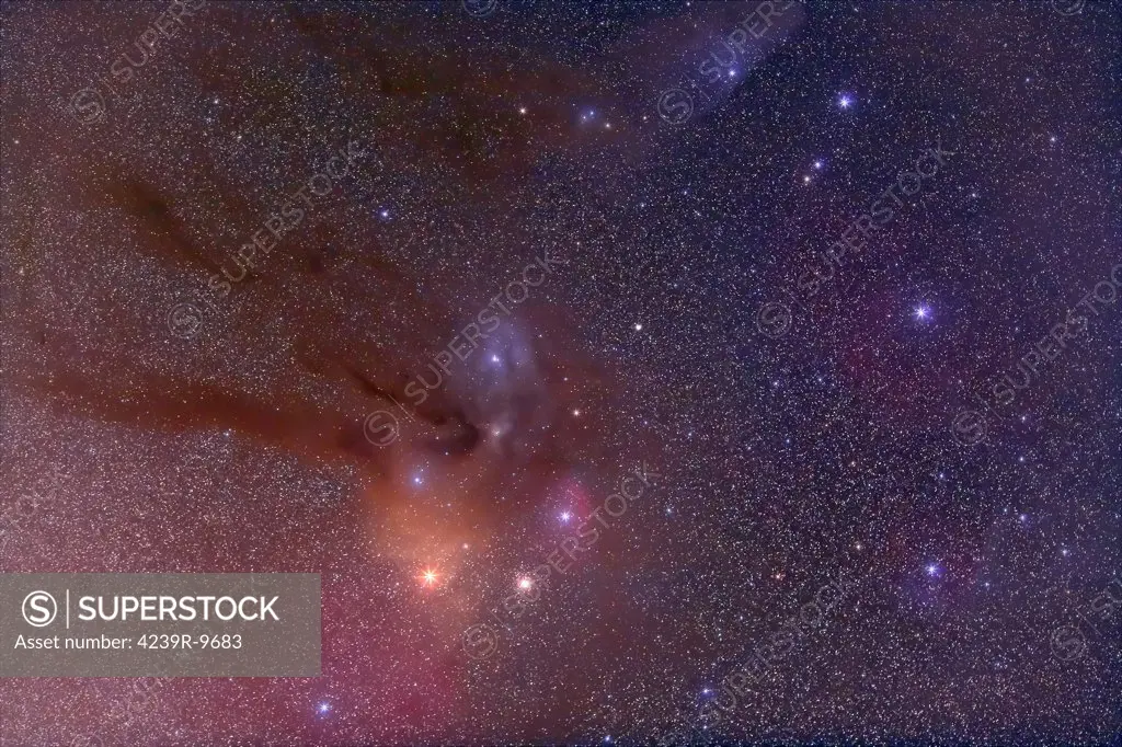 Antares and Scorpius Head area with Rho Ophiuchi nebulosity field oriented equatorially.