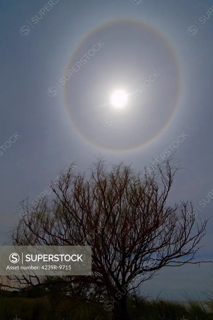 June 23, 2013 - A 22 degrees halo around the 2013 supermoon, Punta Piedras, Argentina.