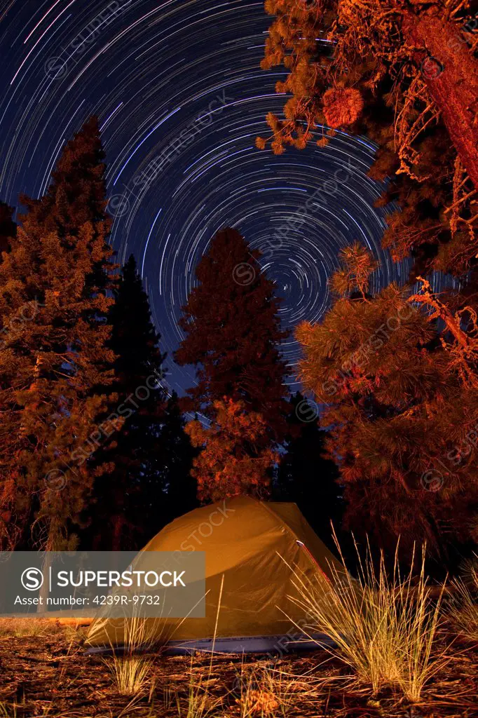 A tent and pine trees against a backdrop of star trails in Lassen Volcanic National Park, California.
