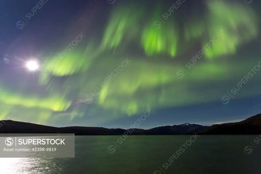 Aurora borealis over Fish Lake, Yukon, Canada.