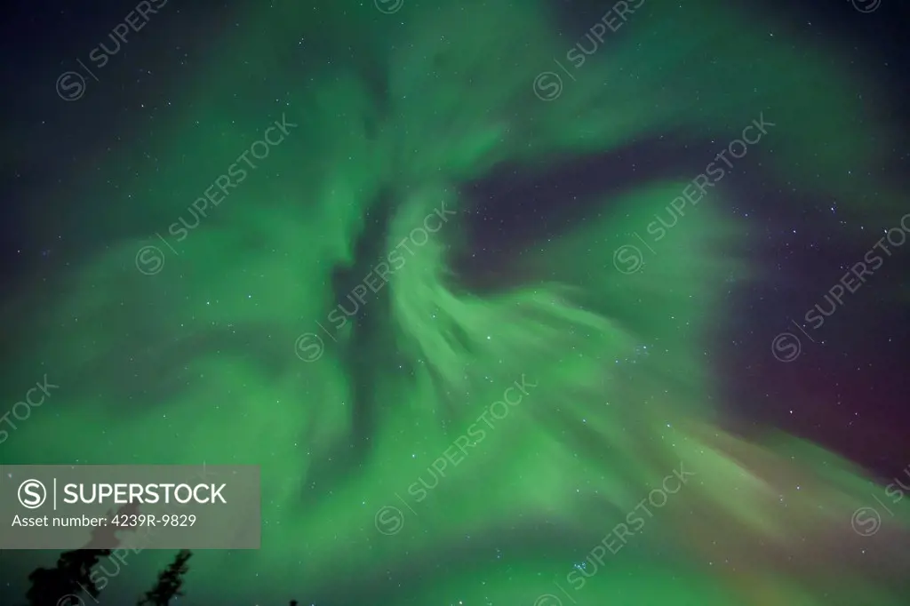 Aurora borealis in clear skies, Yukon, Canda.