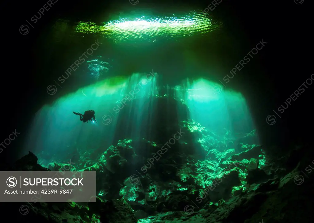 A diver in the Garden of Eden cenote system in Mexico.