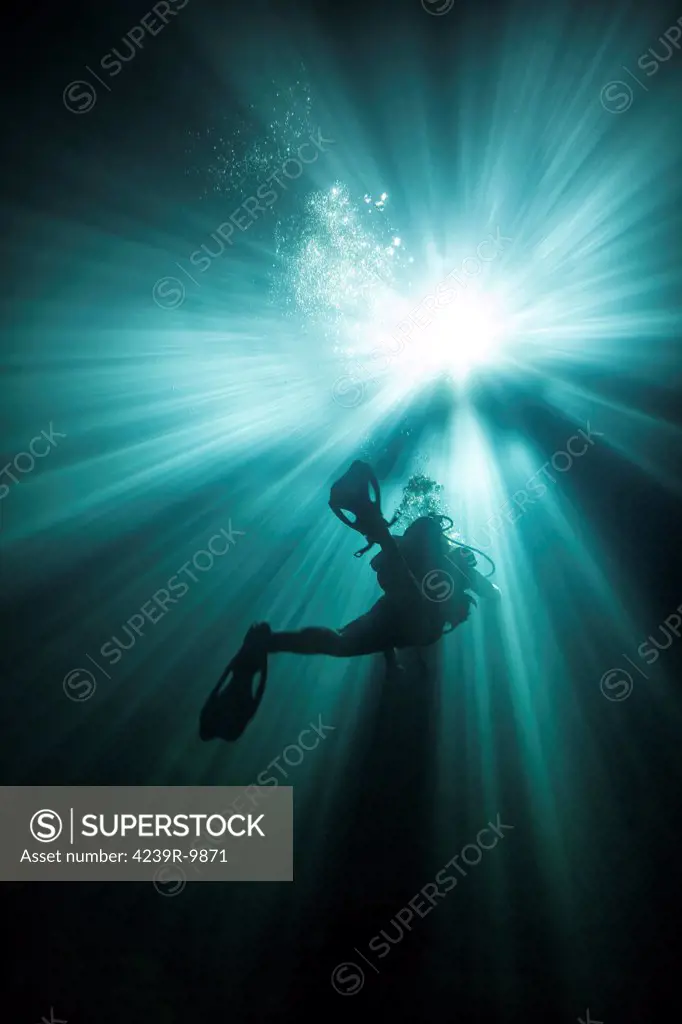 A scuba diver ascends into the light emanating above through the sink hole into the clear freshwaters of Devil's Den cave near Williston, Florida.