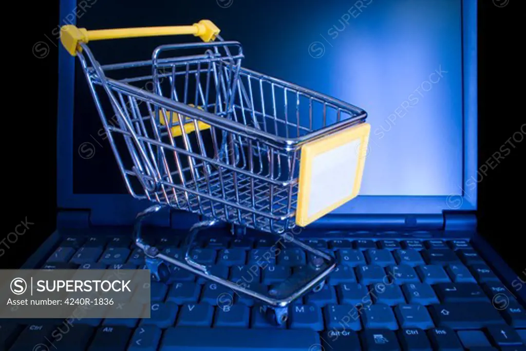 online shopping made life easyer for everyone
