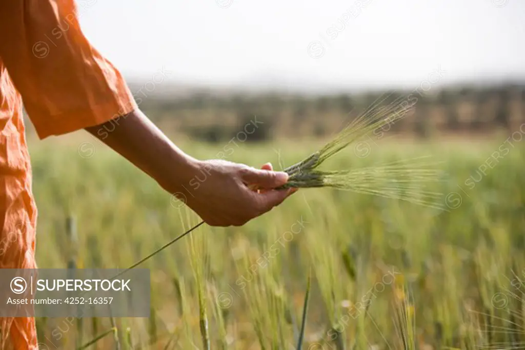 Woman wheat