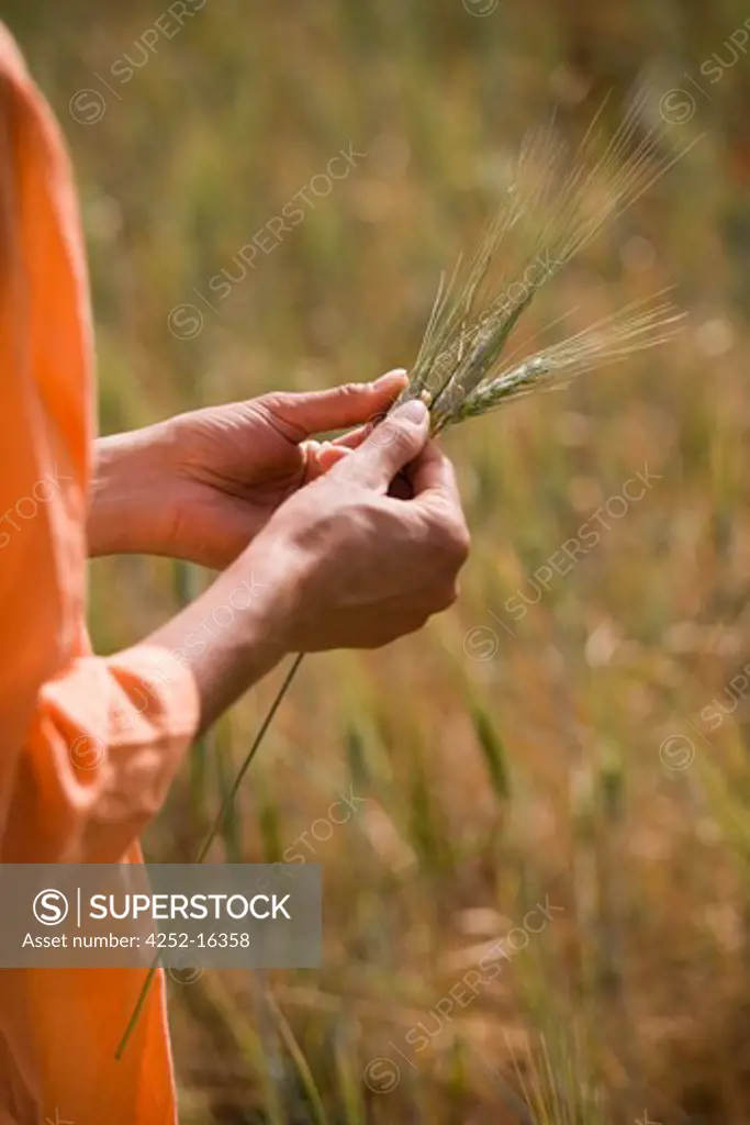 Woman wheat