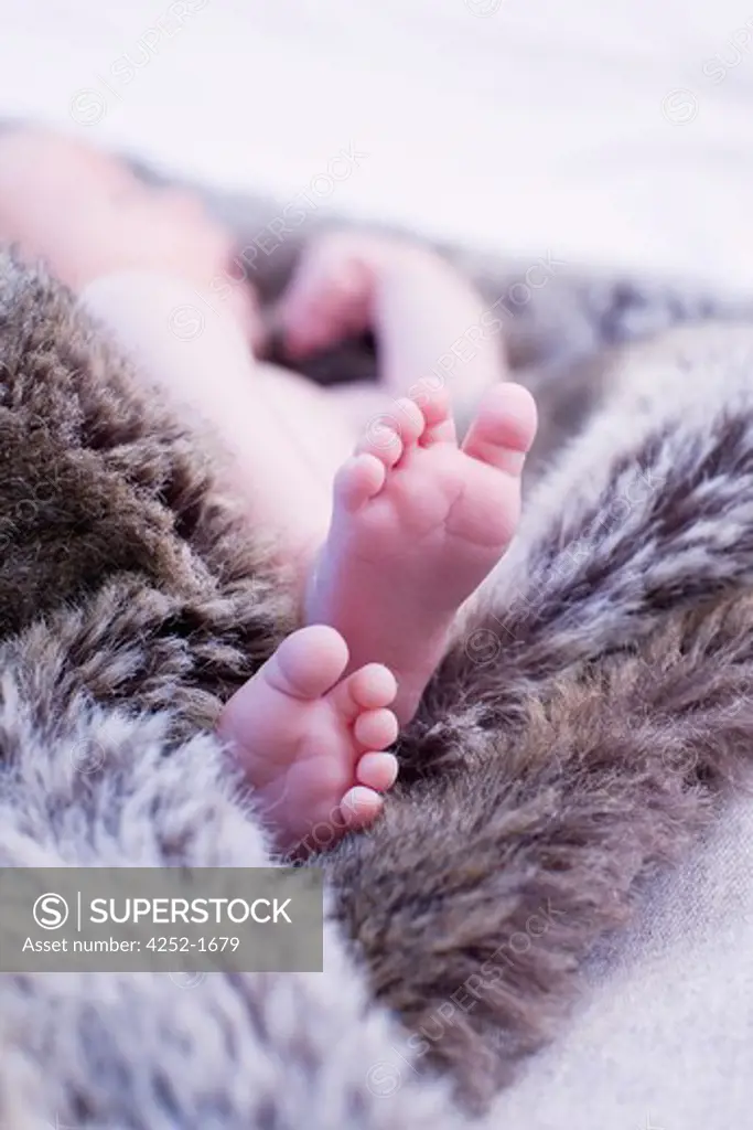 Baby fur feet