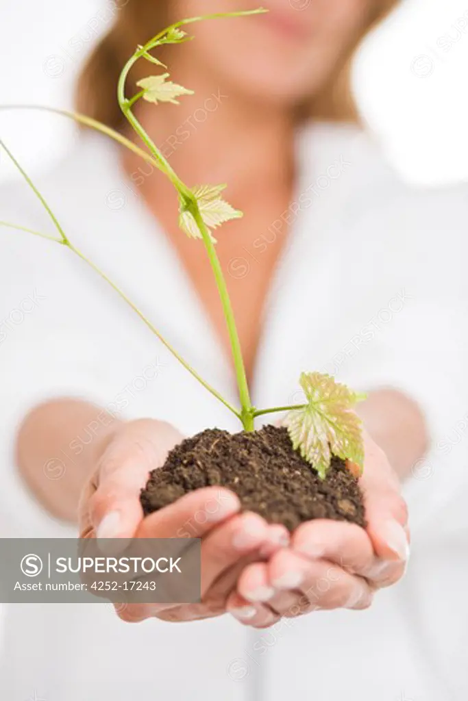 Woman plant stem