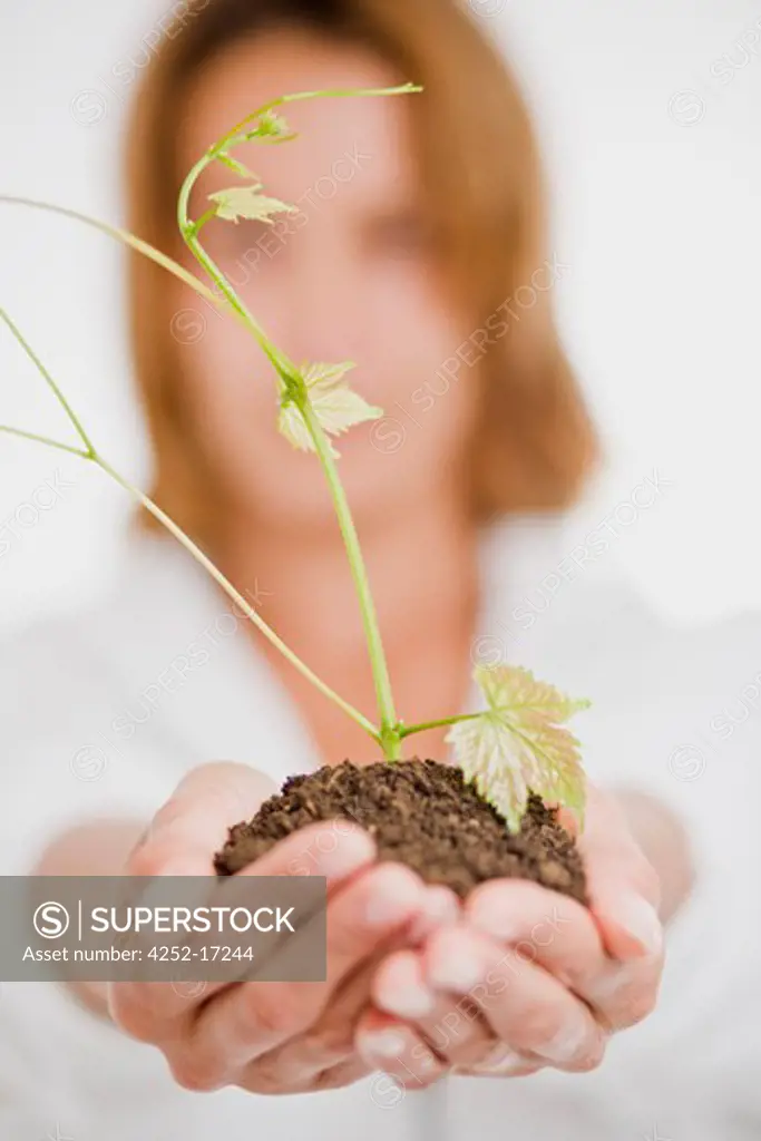 Woman plant stem